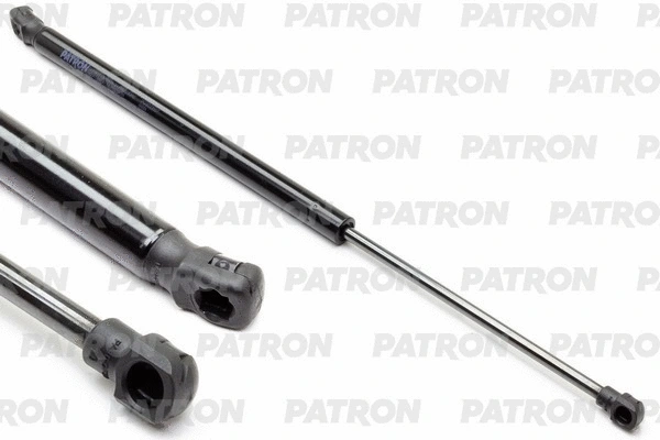 PATRON PGS023557
